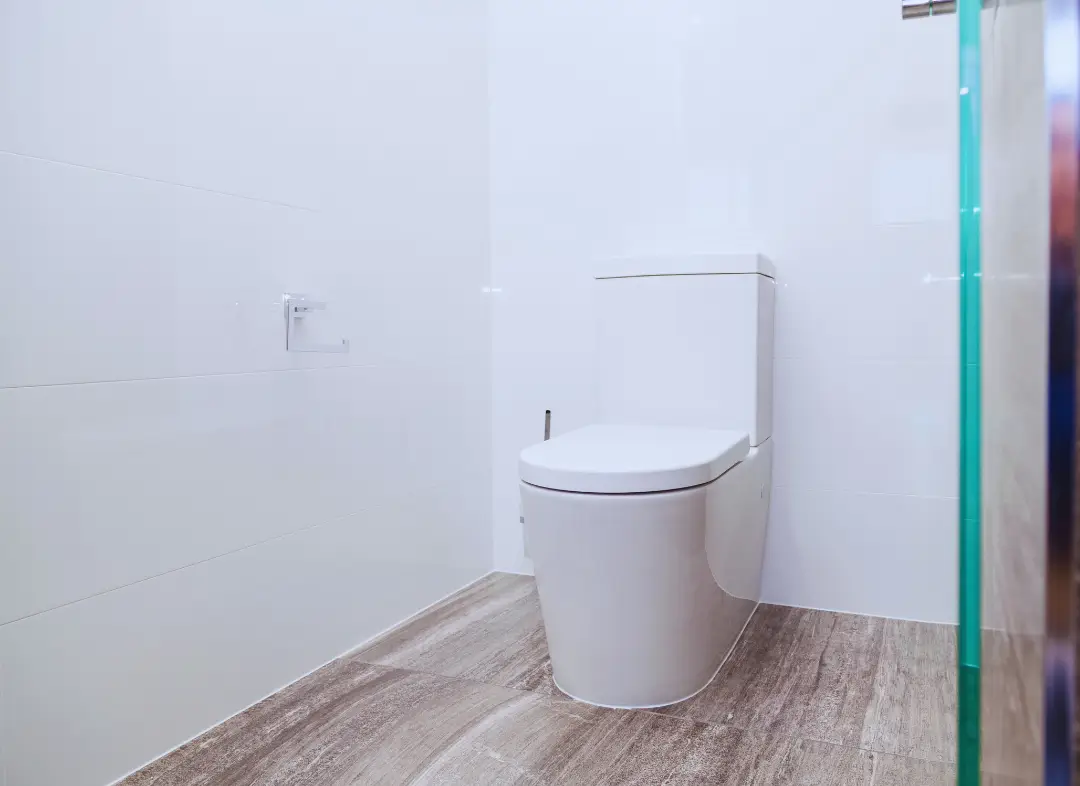 Remplacement de wc Rivery